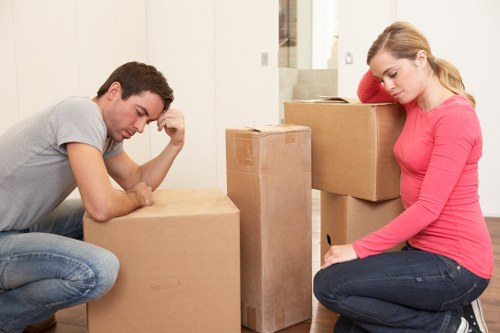 Packing and organizing belongings for a flat removal